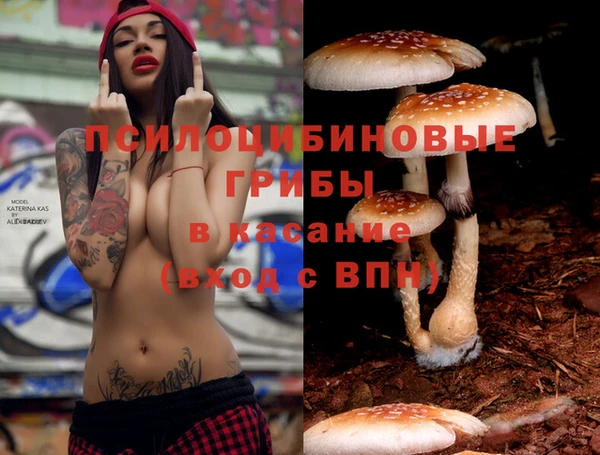 мяу мяу мука Зеленодольск