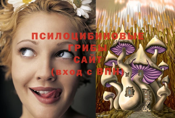 стаф Заволжск