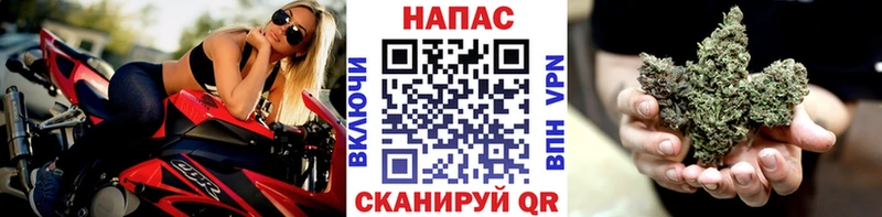 Купить закладки  Реж  Канабис сатива 